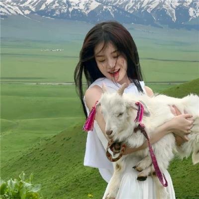 加菲猫的幸福生活第一季