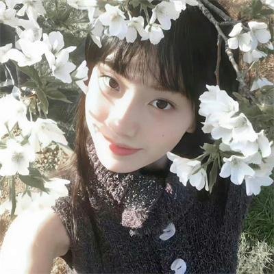 在森林的那边